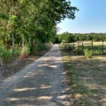 PF old road 1